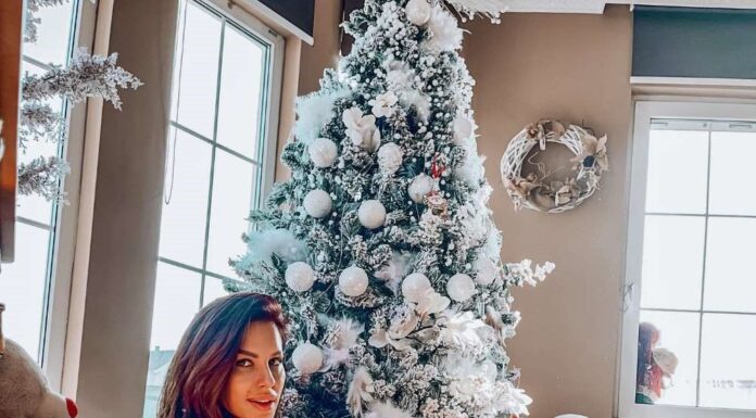 Seka Aleksić Doček Nove godine Seka Aleksić Doček Nove godine