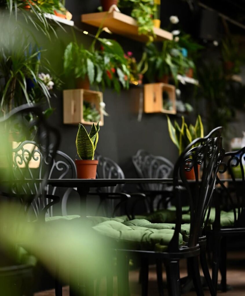 Foresta Belville - Where Urban Belgrade Meets a Green Escape