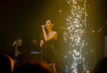 Ceca Nova godina
